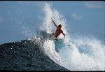 Surfing the waves von Kelly